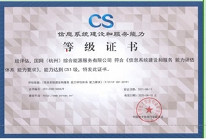 CS 信息系統建設和服務能力評估