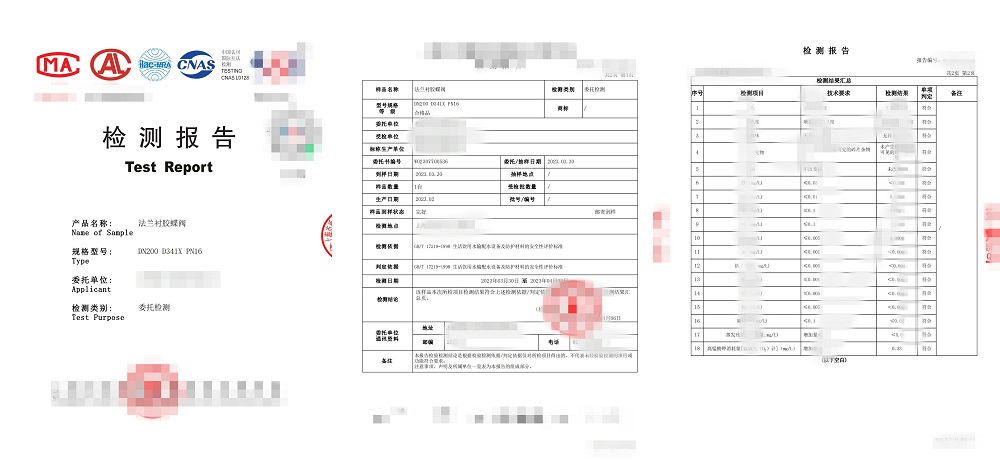 閥門涉水產(chǎn)品衛(wèi)生性能報(bào)告樣板-1000.jpg